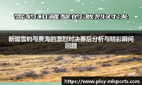 新疆雪豹与黄海的激烈对决赛后分析与精彩瞬间回顾